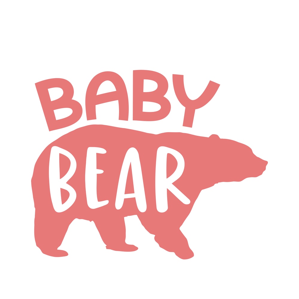 Baby-Bear.png