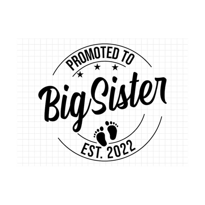 MR-139202316622-promoted-to-big-sister-svg-png-baby-announcement-svg-big-image-1.jpg