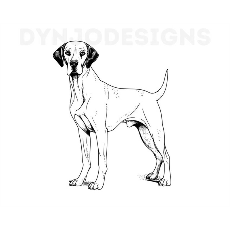 MR-139202316732-english-pointer-svg-english-pointer-clipart-english-pointer-image-1.jpg