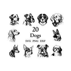 dog svg, dog bundle, dog clipart, dog png, dog cut files for cricut, cute dog, baby dog, svg bundle