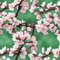 Cherry Blossoms 44.jpg