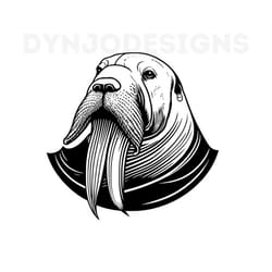 walrus svg, walrus clipart, walrus png, walrus head, walrus cut files for cricut , walrus silhouette, animals silhouette