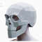skull helmet_1200px.jpg