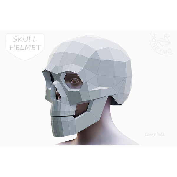 skull helmet_1200px.jpg