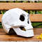 skull helmet-photo_1200px.jpg
