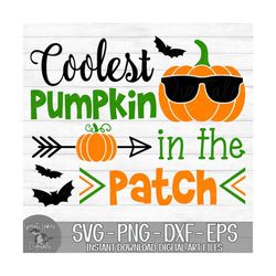 coolest pumpkin in the patch - halloween, sunglasses - instant digital download - svg, png, dxf, and eps files included
