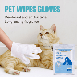 12 PCS No-bath And Cat-free Non-woven Gloves