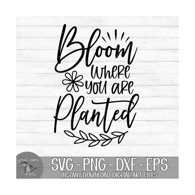 MR-1492023112110-bloom-where-you-are-planted-instant-digital-download-svg-image-1.jpg
