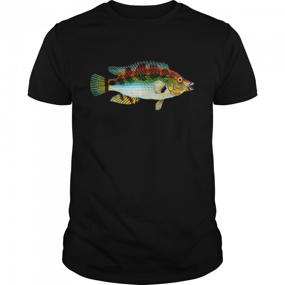 Cool Colorful Fish Art Fisherman Fishing Shirt Shirt.jpg