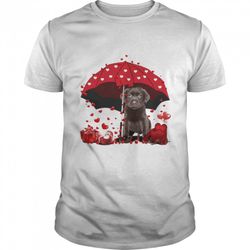 loving red umbrella chocolate labrador christmas sweater shirt