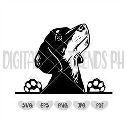 Dachshund Dog Instant Download || Cameo Silhouette SVG Cut File || Dachshund Svg