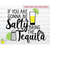 MR-1492023125133-summer-svg-funny-drinking-svg-beach-svg-mom-life-svg-tequila-image-1.jpg