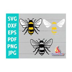 bee svg, bee kind svg, be kind svg, always be kind svg, honey bee shirt design, kindness matter cricut silhouette cuttin