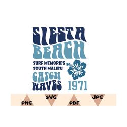 siesta beach hoodie svg,siesta beach png,aesthetic hoodie svg,trendy hoodie svg,tumblr hoodie png,words on back shirt,pn