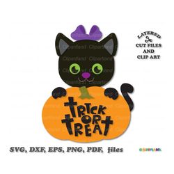 INSTANT Download. Halloween black cat svg cut file and clip art. Personal and commercial use. C_12.