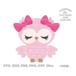 INSTANT Download. Owl svg cut file. Cut_owl_2. Personal and commercial use.