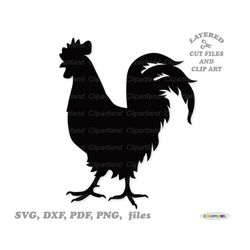 INSTANT Download. Rooster silhouette svg cut file and clip art. Personal and commercial use. R_1.