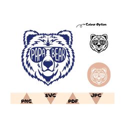 papa bear shirt svg,papa bear png,father's day svg,happy father's day, funny dad gift, dad life, vintage  daddy shirt pn
