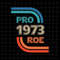 Pro Roe 1973 Svg, Prochoice Svg, Prochoice Rainbow Svg, Feminism Reproductice Right Svg, Women's Rights Feminism Protect Svg - 1.jpg