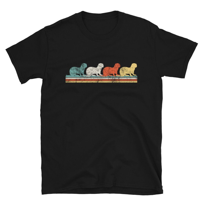 River Otter T-Shirt.jpg