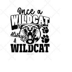 wildcat svg, once a wildcat, high school graduate, for school, wildcats vector