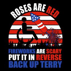 4th of july firework svg, terry funny us flag firecracker svg