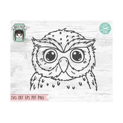 owl svg file, owl cut file, bird svg, cute owl svg, owl face svg, owl png, owl clipart, animal svg file, animal face svg