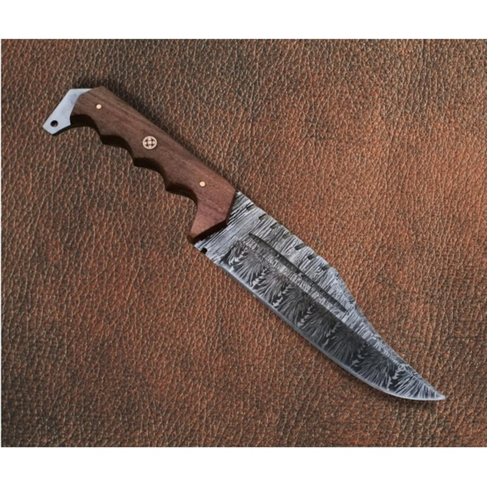 WhatsApp Image 2023-09-14 at 4.20.29 PM.jpeg