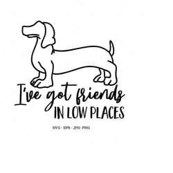 dachshund shirt, funny dog saying, dachshund svg, wiener dog dog svg, country music shirt, country svg, i've got friends