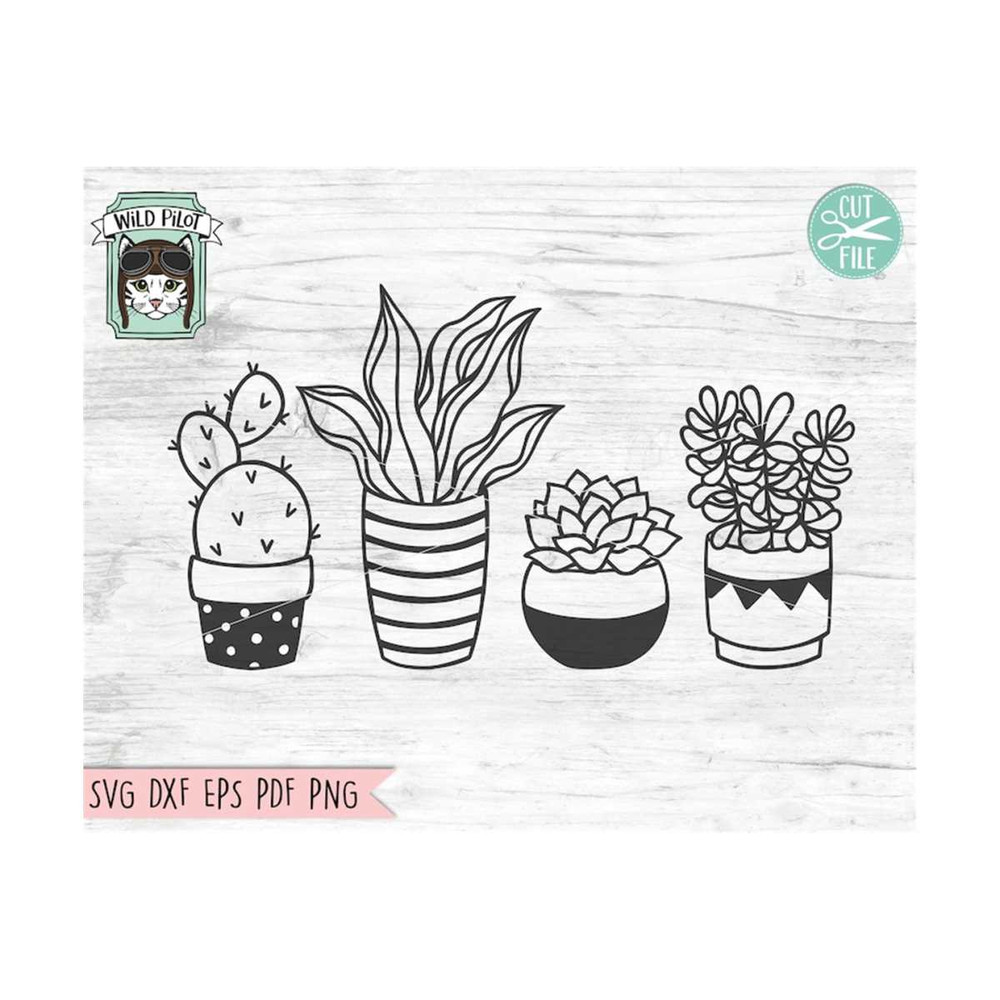 MR-149202320243-cactus-svg-file-succulent-svg-file-plants-svg-file-cactus-image-1.jpg
