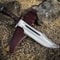 Buy a 19 Handmade D2 Bowie Knife for sale