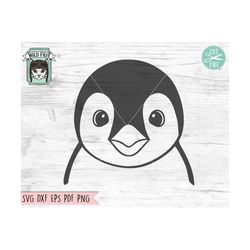 penguin svg file, penguin face svg, penguin cut file, animal face, cute penguin svg, bird svg, winter, arctic animals