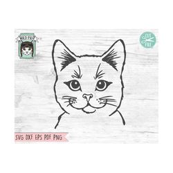 cat svg file, cat face svg file, cat cut file, animal face svg, cute cat svg, kitten svg file, pet svg file, animal svg