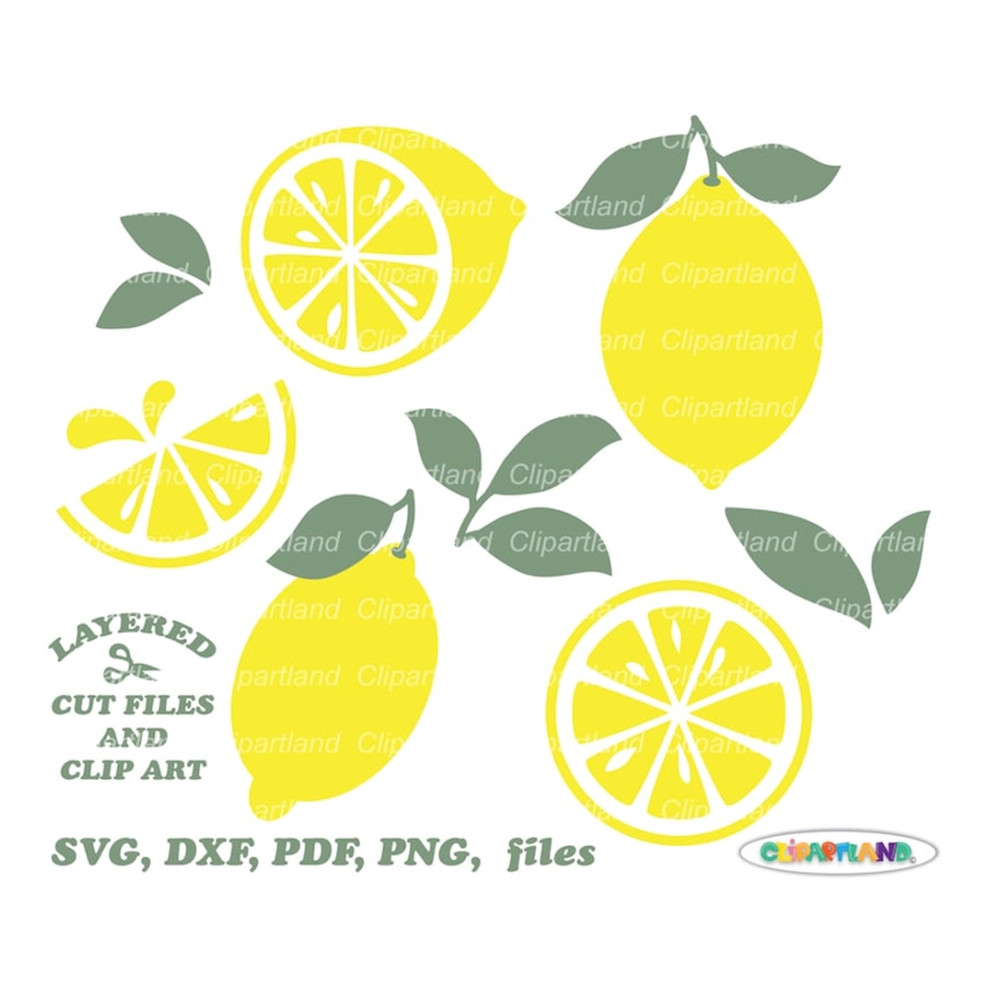 MR-15920238111-instant-download-juicy-lemon-svg-cut-file-and-clip-art-image-1.jpg
