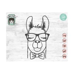 llama svg file, llama with glasses bowtie svg, llama cut file, animal face, hipster, cute boy llama svg, cute llama face
