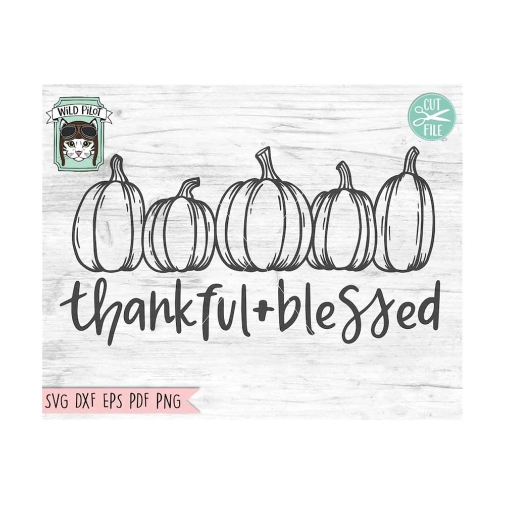 MR-15920239151-thankful-and-blessed-svg-pumpkin-svg-row-of-pumpkins-svg-cut-image-1.jpg