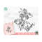MR-159202394852-orchid-svg-file-flower-svg-flowers-svg-file-orchid-clip-image-1.jpg