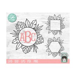tropical leaf frames svg, tropical leaves cut file, leaf monogram, summer monogram, monstera, palm leaves, circle, hexag