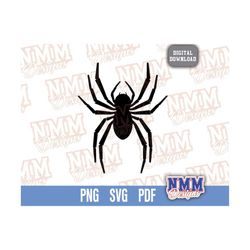 spider svg clipart, cool halloween image digital download, spider eps png printable, vector file