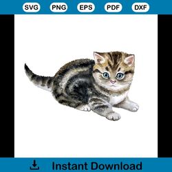 scottish fold svg, pet svg, animal svg, trending svg, spotted cat, watercolor illustration of pet svg, scottish fold cat