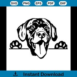 labrador retriever svg, trending svg, dog svg, dog breeds svg, funny dog svg, dog lovers svg, dog gift svg, cute dog svg