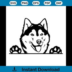 siberian husky svg, trending svg, husky svg, husky dog svg, dog svg, funny dog svg, lovely dog svg, pet svg, funny pet s