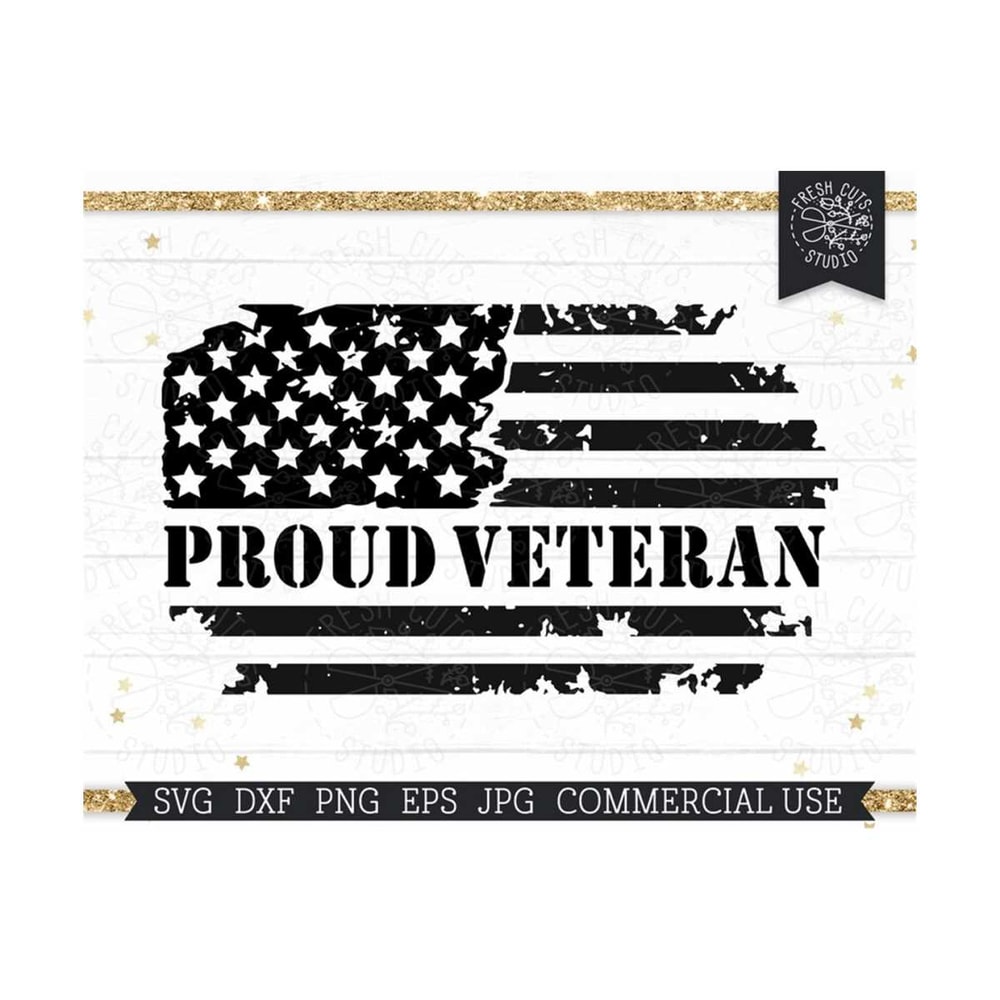 MR-1592023183133-veteran-svg-4th-of-july-independence-day-cut-file-for-cricut-image-1.jpg