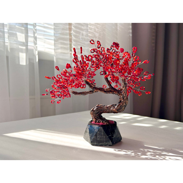 Japanese_bonsai.jpeg