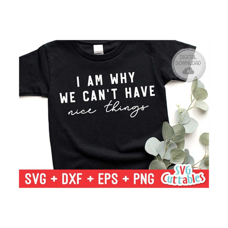MR-1592023201652-i-am-why-we-cant-have-nice-things-svg-funny-cut-file-image-1.jpg
