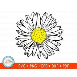 daisy svg, daisy clipart, daisy png, floral svg designs, flower clipart