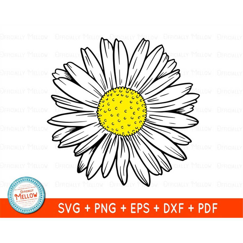 MR-169202302046-daisy-svg-daisy-clipart-daisy-png-floral-svg-designs-image-1.jpg