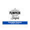 MR-169202375030-pumpkin-season-svg-thanksgiving-svg-autumn-vibes-svg-fall-image-1.jpg