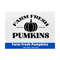 MR-169202381229-farm-fresh-pumpkins-svg-fall-svg-farm-fresh-sign-svg-autumn-image-1.jpg