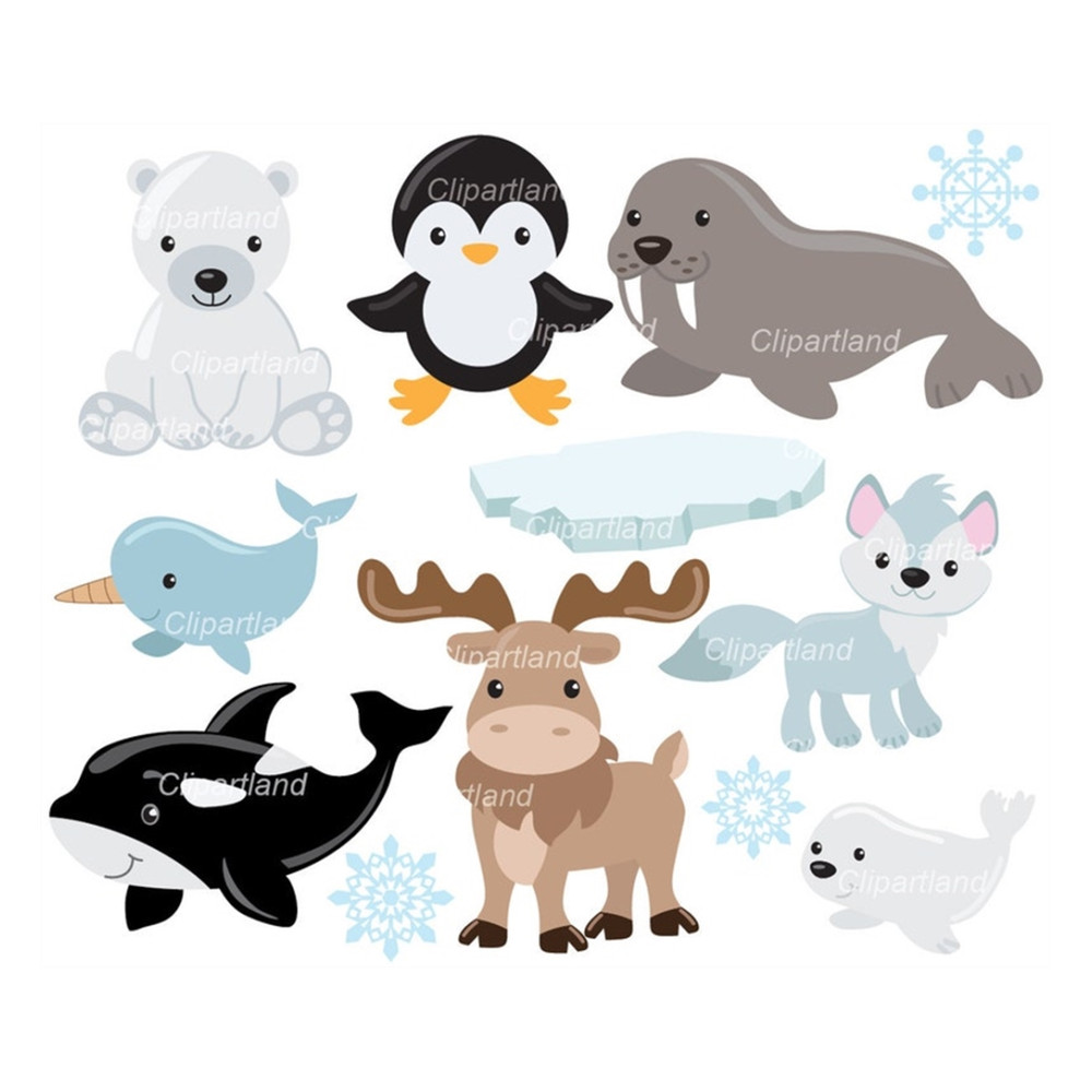 MR-169202381525-instant-download-arctic-animals-clip-art-caa3-personal-and-image-1.jpg